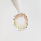 Lenstown 1-Day Lighly Vanada Orange Brown (20 Pack)